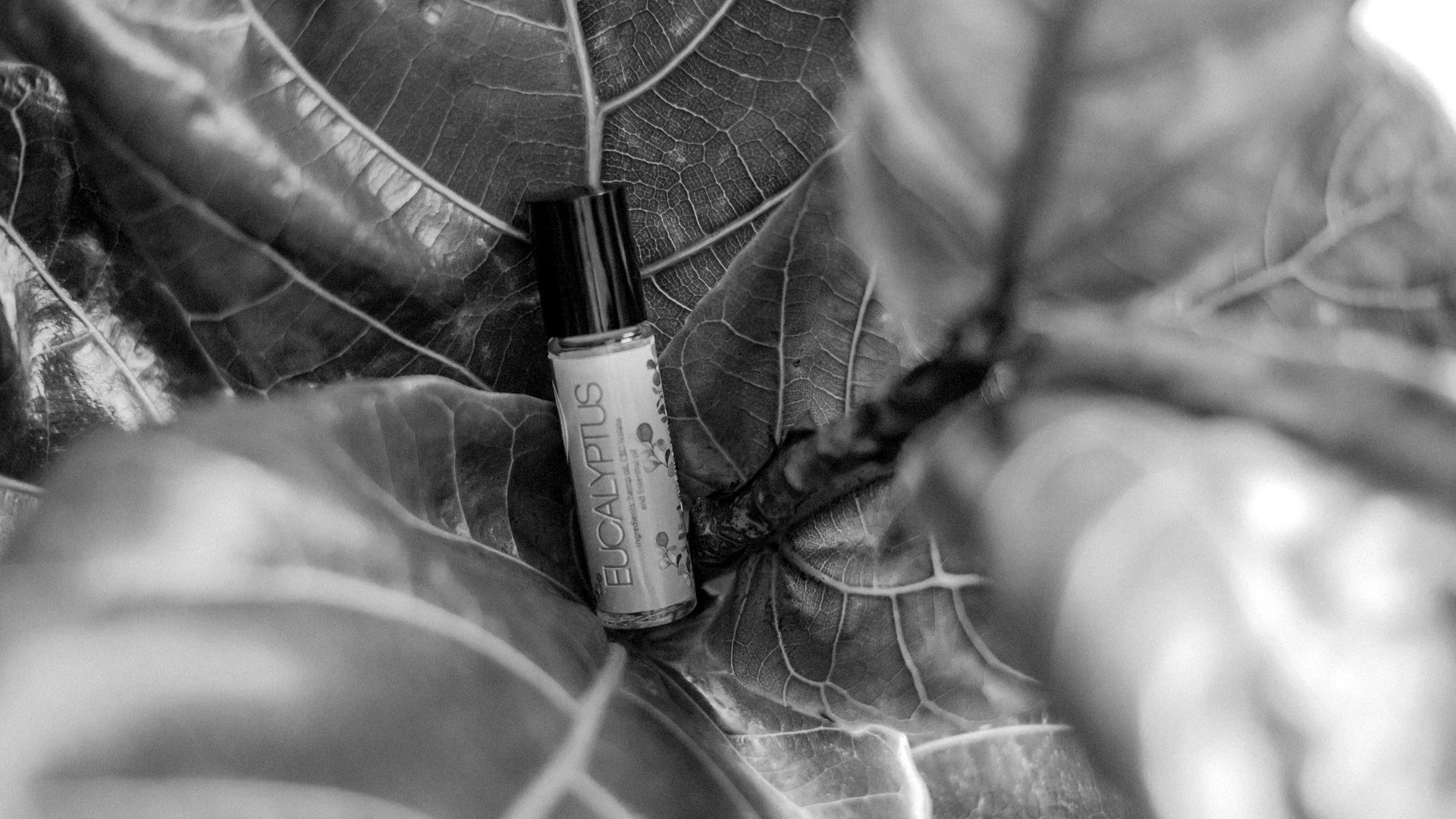 Eucalyptus Oil and skin care